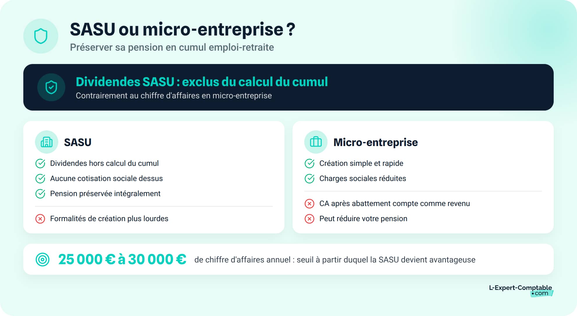 SASU ou micro-entreprise pour preserver sa pension