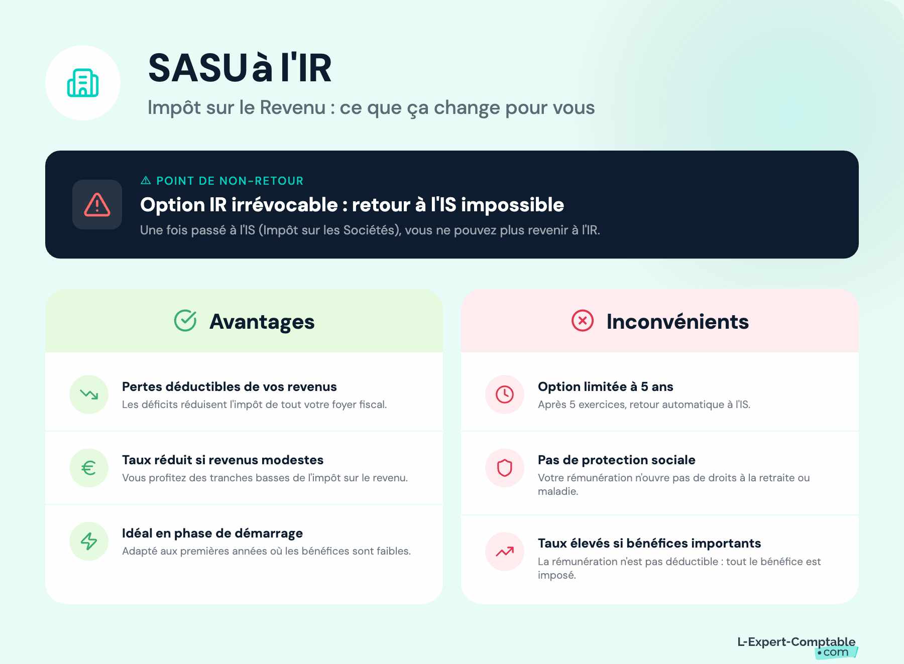 Avantages et inconvénients de la SASU à l'IR