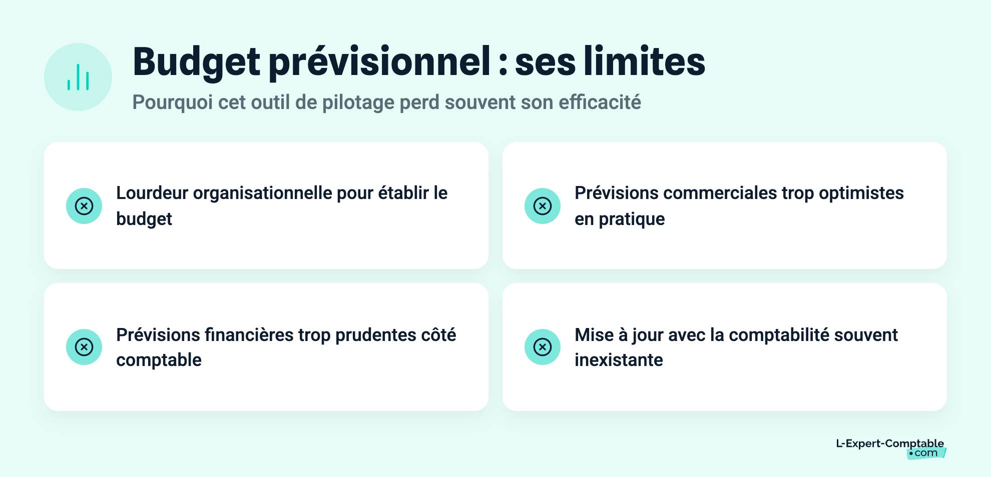Budget prévisionnel : ses limites