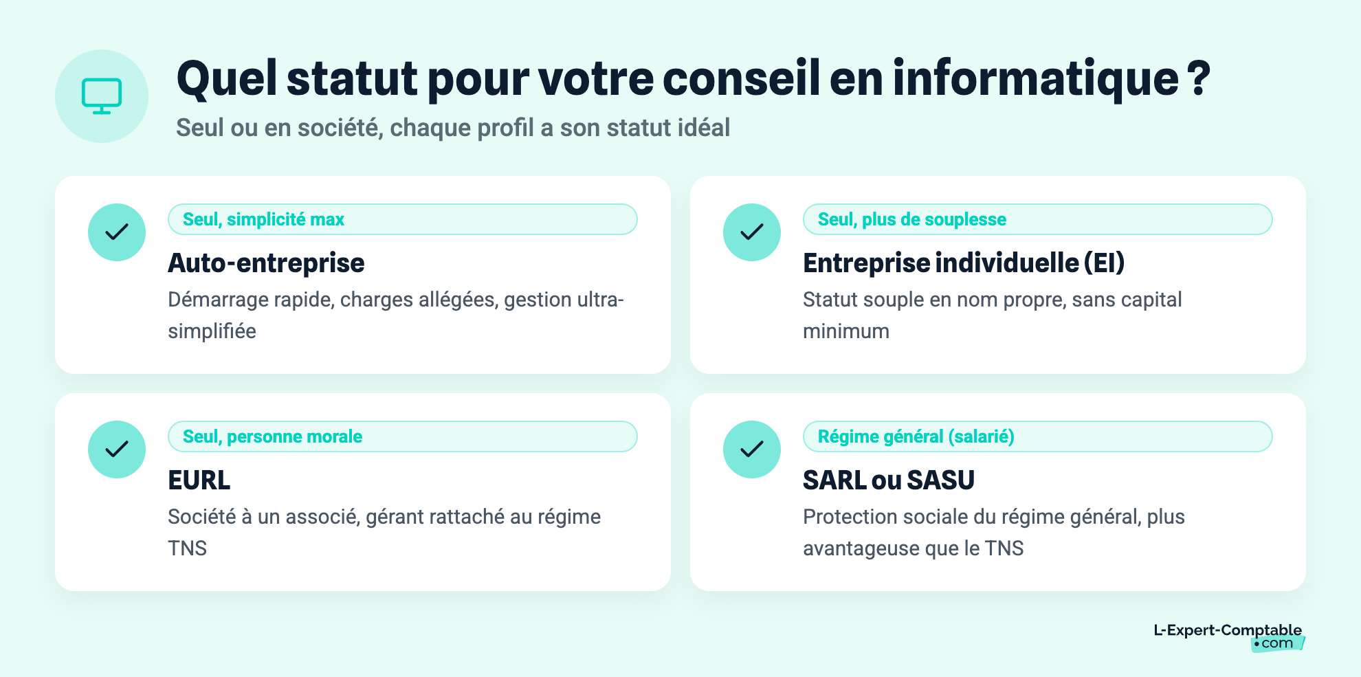 Quel statut pour votre conseil en informatique ?