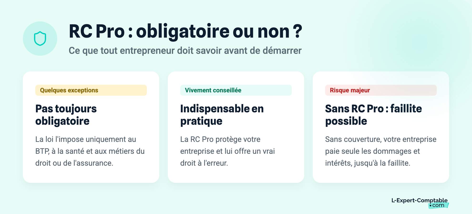 RC Pro - obligatoire ou non ?