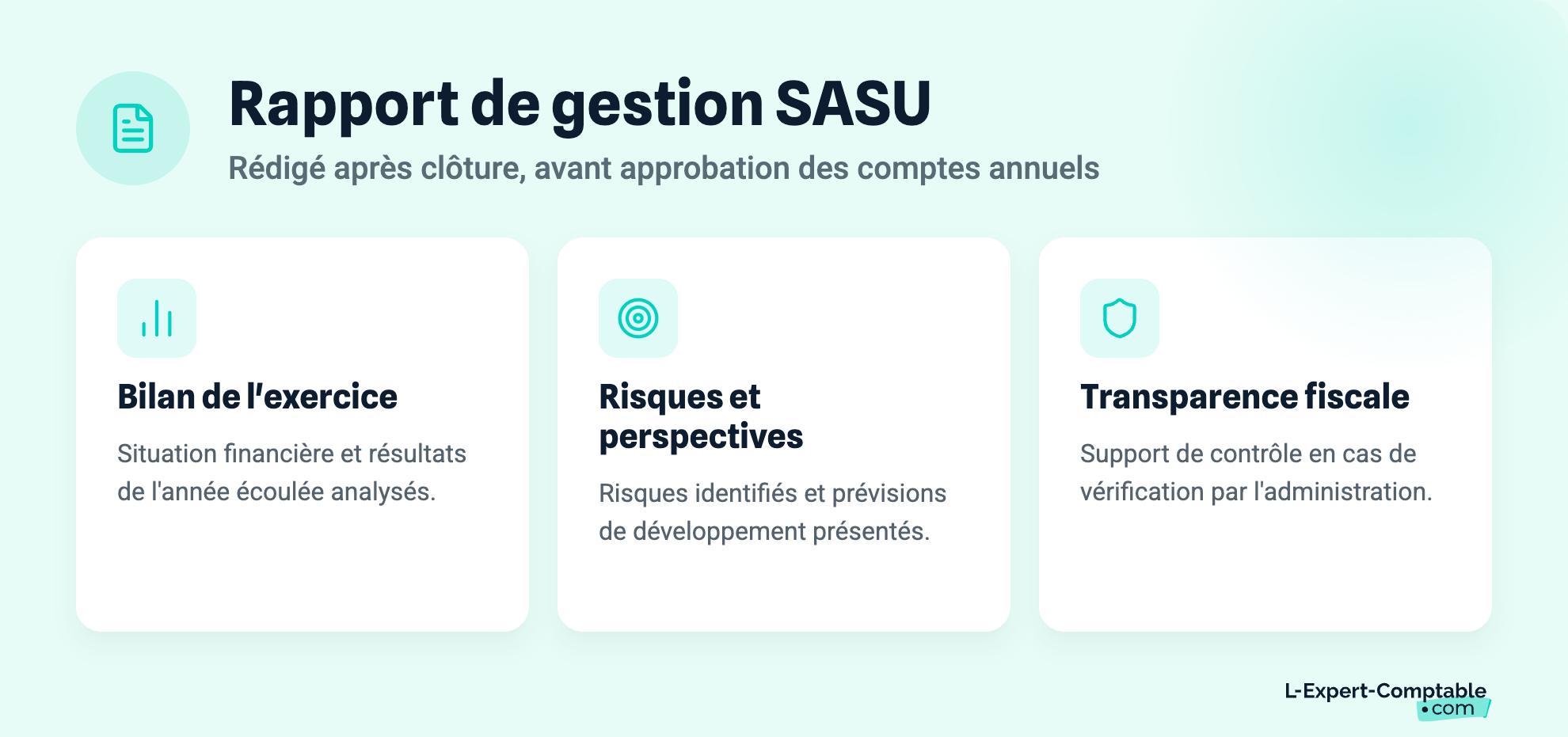 Rapport de gestion SASU