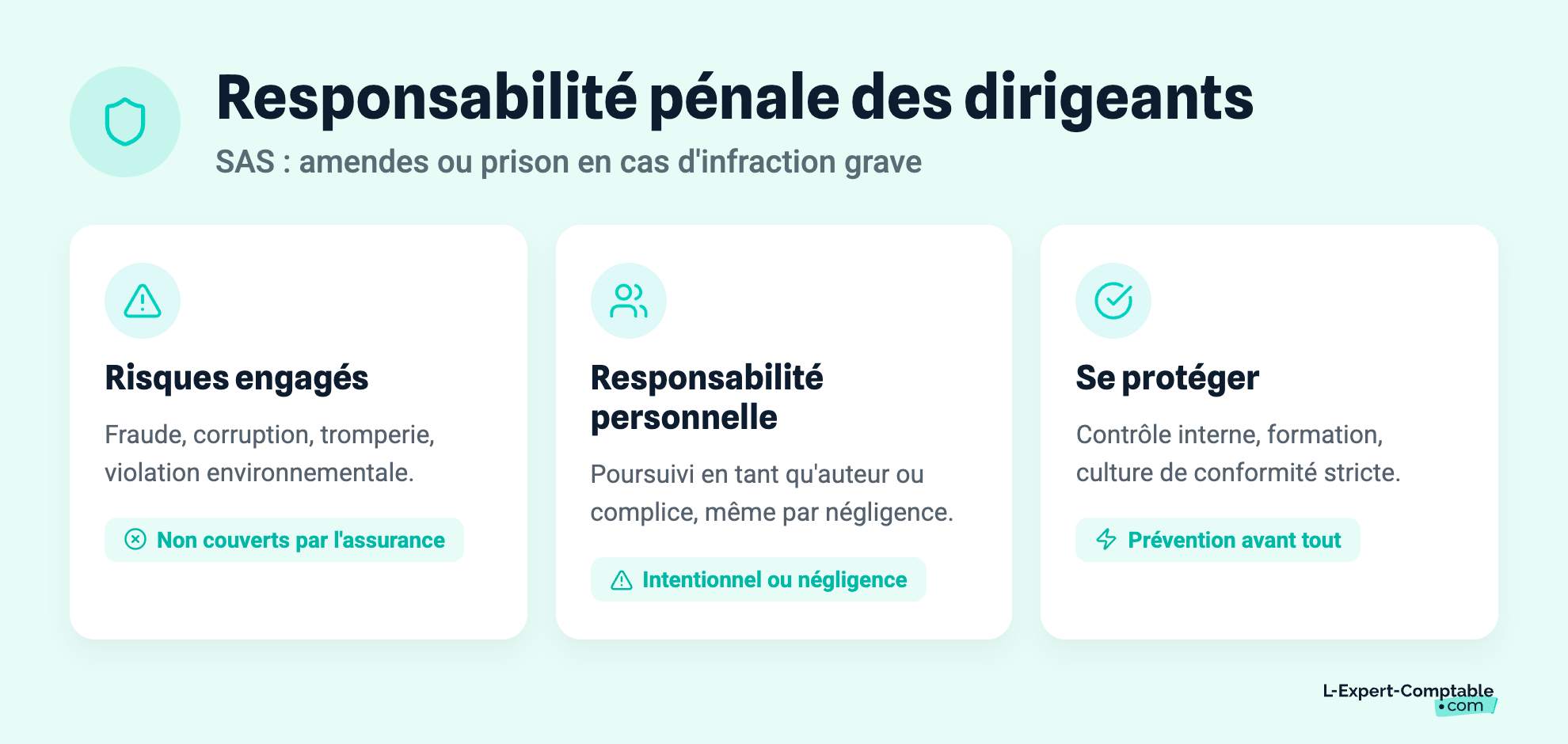 Responsabilité pénale des dirigeants