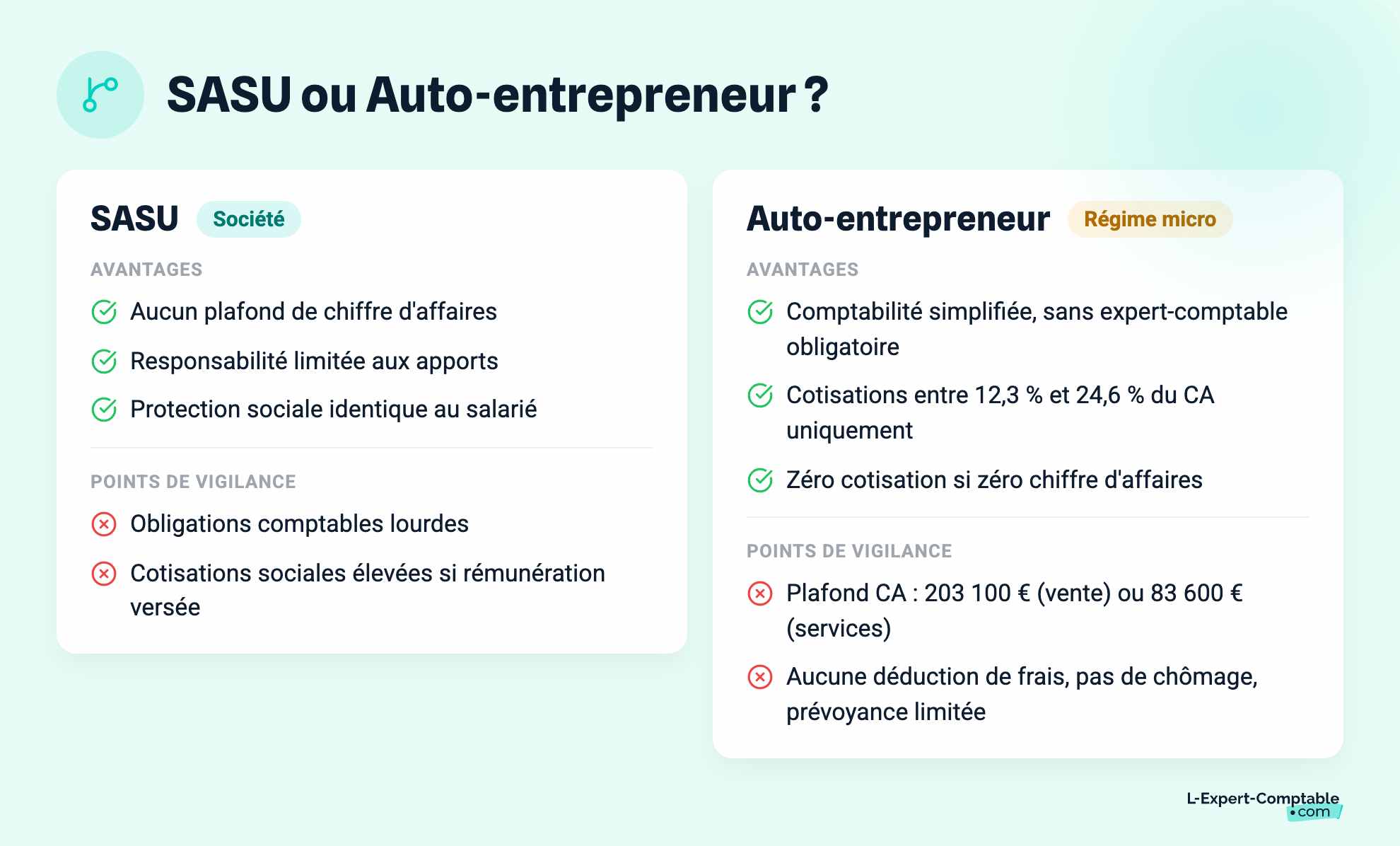 SASU ou Auto-entrepreneur ?