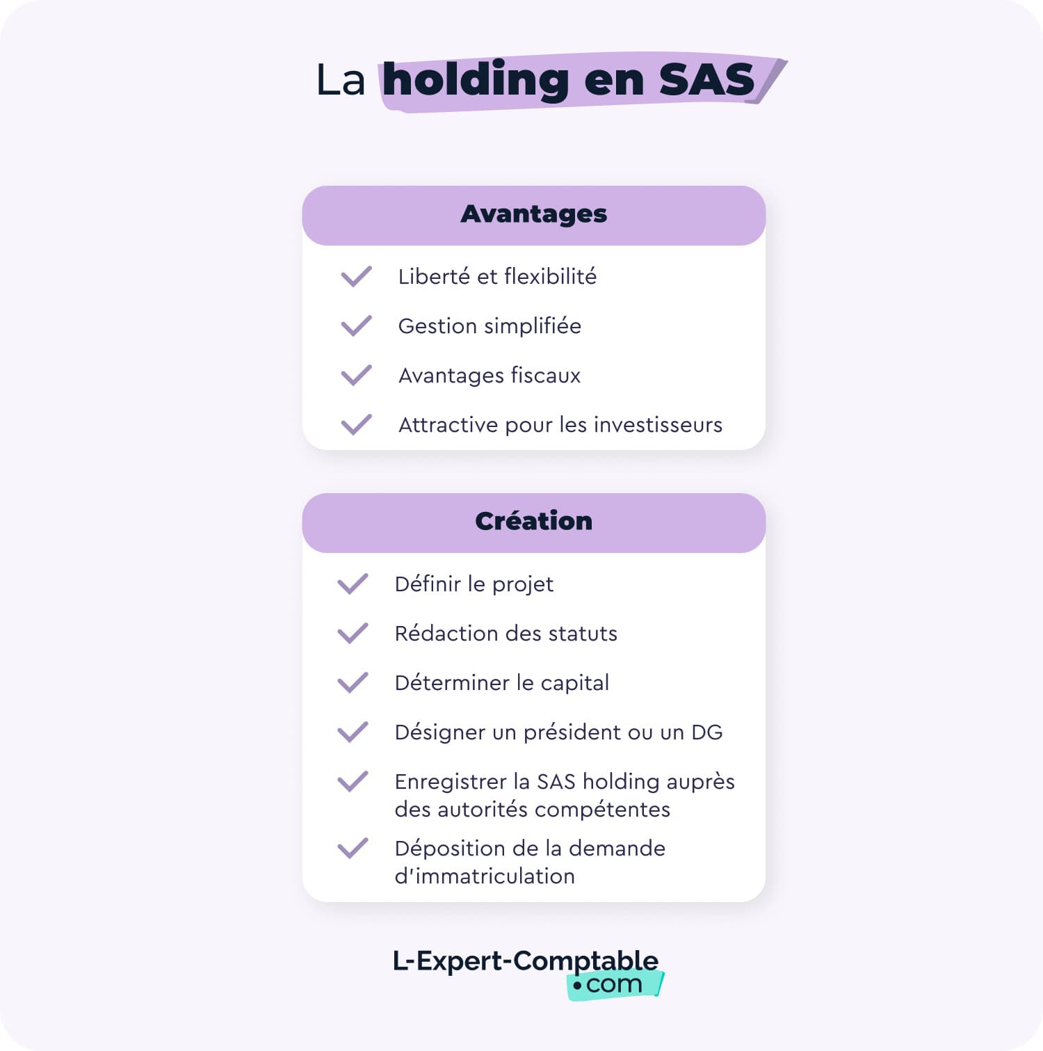 holding-SAS