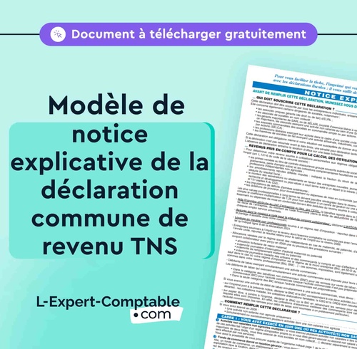 Expert-Comptable en ligne modele-notice-explicative-declaration-commune-revenu-tns