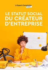 Expert-Comptable en ligne statut-social-dirigeant