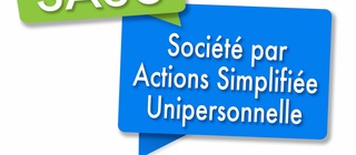 Transformation SASU en EURL : guide pratique