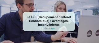 Le GIE (Groupement d'Intérêt Economique) avantages, inconvénients