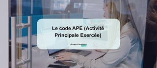 Le code APE (Activité Principale Exercée)
