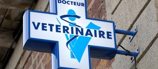 Ouvrir un cabinet de vétérinaire : définition, démarches et formalités