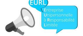 Perte de la moitié du capital social eurl formalités et procédures