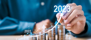 Quels sont les nouveaux plafonds de chiffre d'affaires d'une EURL en 2024 