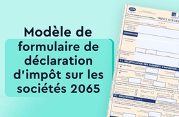 modele-formulaire-declaration-impot-societe-2065