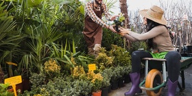 Créer une entreprise de jardinage et entretien d'espace vert