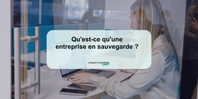 Qu'est-ce qu'une entreprise en sauvegarde 