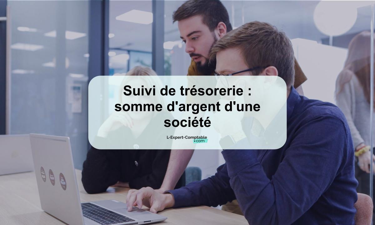 Il S Occupe De La Trésorerie D Une Société